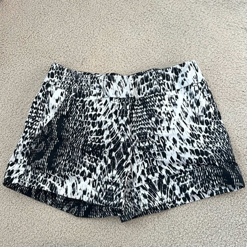 New York & Company Shorts